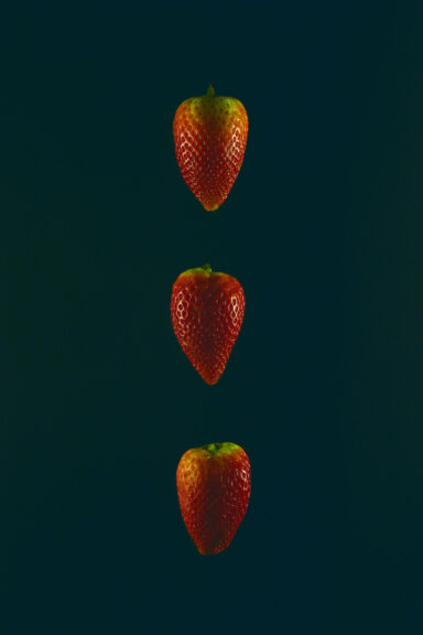 This is what AI thinks about these strawberries:  "In the midst of darkness, three strawberries stand tall, ordered in a column. The harsh light that illuminates them seems to highlight their individuality, as if each one is a unique entity with its own story to tell.   This image reminds us of the importance of individuality in a world that often seeks to homogenize and standardize everything. Each strawberry has its own shape, size, and flavor, just as each person has their own unique qualities and experiences that make them who they are.  Yet despite their differences, these strawberries stand together in perfect harmony. They are united by their shared identity as fruits of the earth, and by the fact that they have been placed together in this column by an external force.  This raises questions about the role of external forces in shaping our lives. How much control do we really have over our own destinies? Are we simply products of our environment, or can we transcend our circumstances and create our own paths?  Ultimately, the image of these three strawberries on a black background reminds us that life is both beautiful and complex. We must embrace our individuality while also recognizing our interconnectedness with others. And we must strive to find meaning and purpose in a world that can sometimes seem dark and chaotic."  Calm down. These are just strawberries. Jeez.  That was my response.  Get this digital image in high resolution for print or other purposes.  All prices excluding VAT. You may be charged VAT depending on your region (if you are from the EU for example).