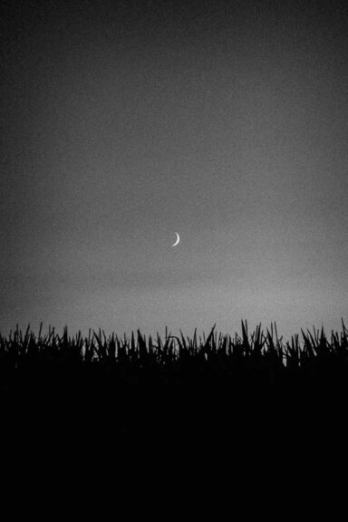 Captured in the tranquil moments after sunset, this minimalist digital photo showcases a breathtaking crescent moon hovering over a dark maize field in the foreground. The cloudless red fiery sky adds a dramatic touch to the scene, as it transitions into the approaching blue hour. Perfect for printing, this stunning image captures the essence of nature's beauty and is sure to leave a lasting impression on any viewer.