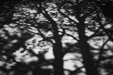 Shadows are often completely overlooked, even though they often make for a fascinating image. This one is about a tree on a wall, creating a chaotic display of nature that is also very suitable for a print on a wall.  Get this digital image in high resolution for print or other purposes.  All prices excluding VAT. You may be charged VAT depending on your region (if you are from the EU for example).
